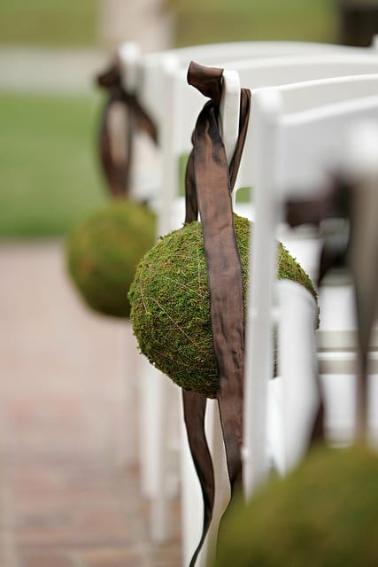 Green Moss Pomanders with Brown Ribbon