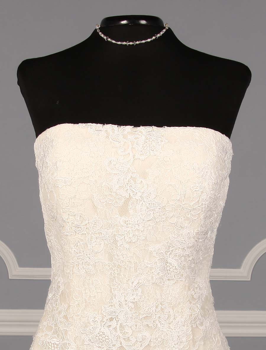 Pronovias Bilyana Wedding Dress Front Bodice
