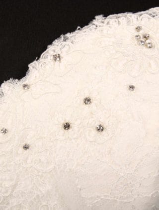 Pronovias Prune Wedding Dress Discounted Detail