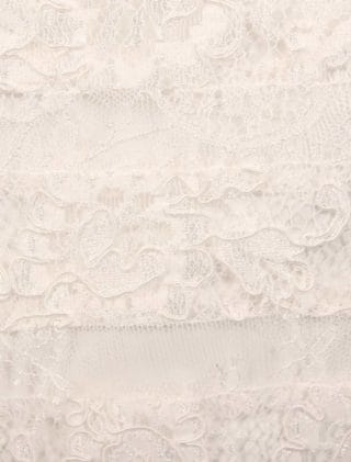 Anne Barge Cloister Wedding Dress Discounted Detail