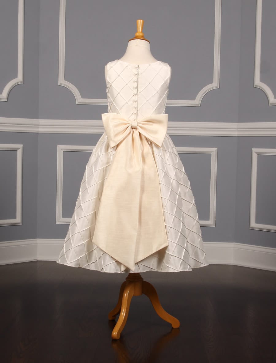 Ladybug Collection 1182 Flower Girl Dress Back