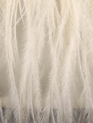 Nha Khanh Jaslene Wedding Dress Feather Details