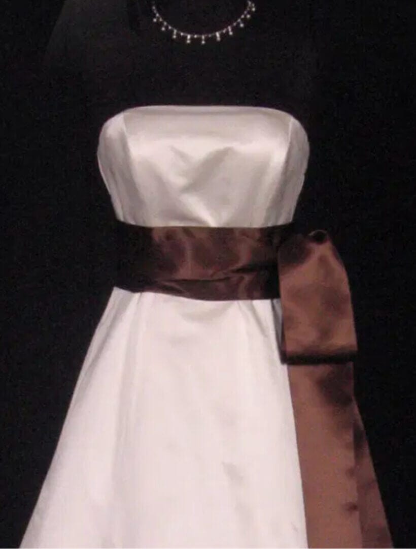 Coffee Swiss Double-faced satin ribbon sash belt closeup 4inchx4.5yds