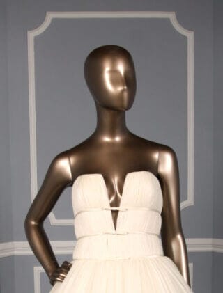 Steve Birnbaum Antoinette Wedding Dress Front Bodice